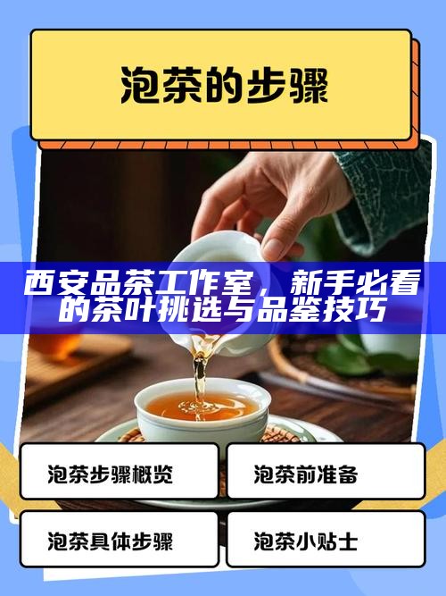 西安实体店大选，品茶流程与沉浸式海选喝茶的体验步骤